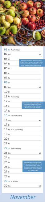 additionalImage11
