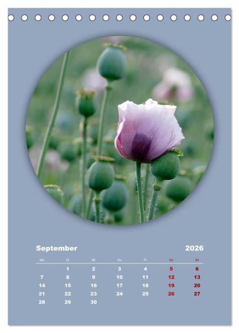 additionalImage14