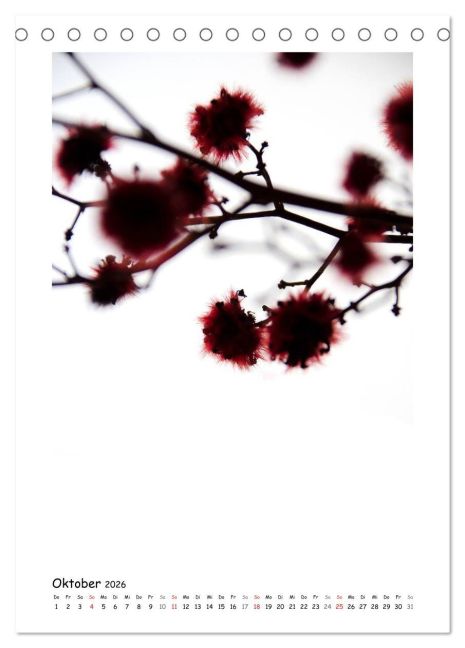 additionalImage2