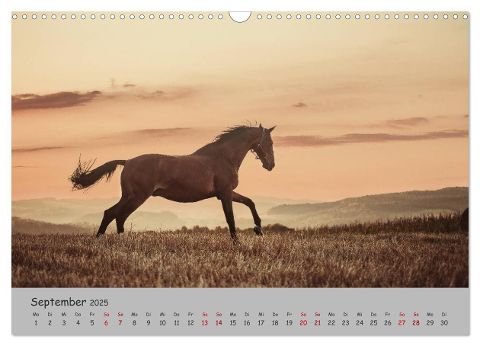 additionalImage12