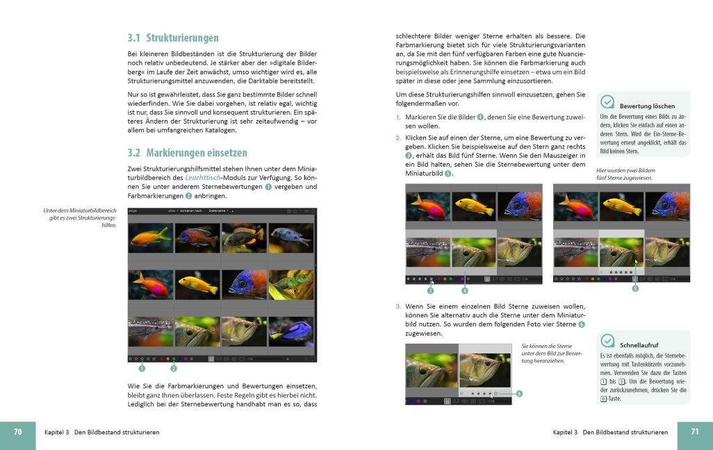 additionalImage1