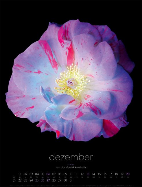additionalImage12