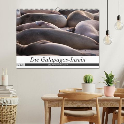 additionalImage1