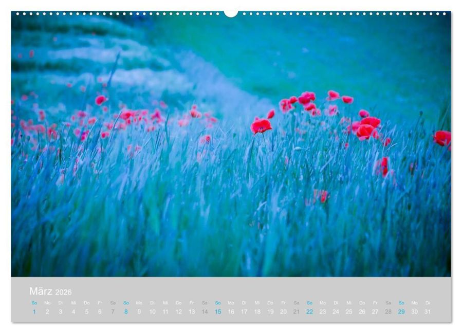 additionalImage7