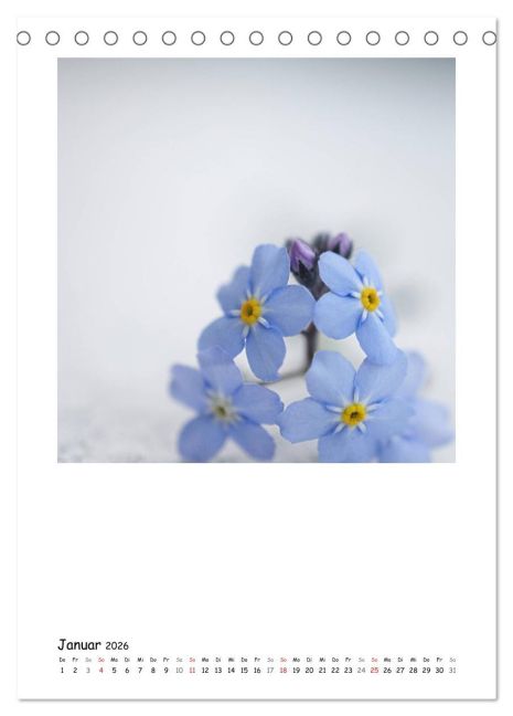 additionalImage6