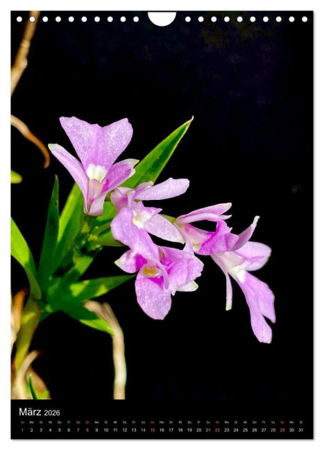 additionalImage8