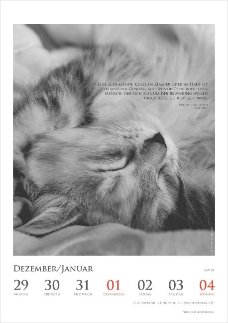 additionalImage1