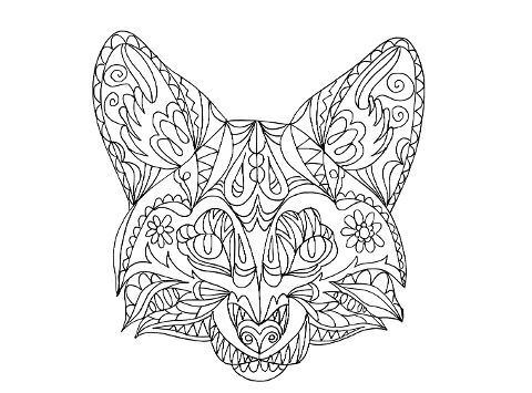additionalImage8
