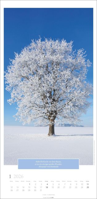 additionalImage1