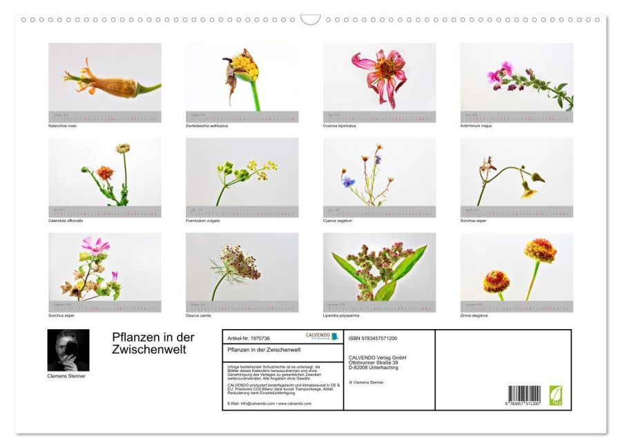 additionalImage5
