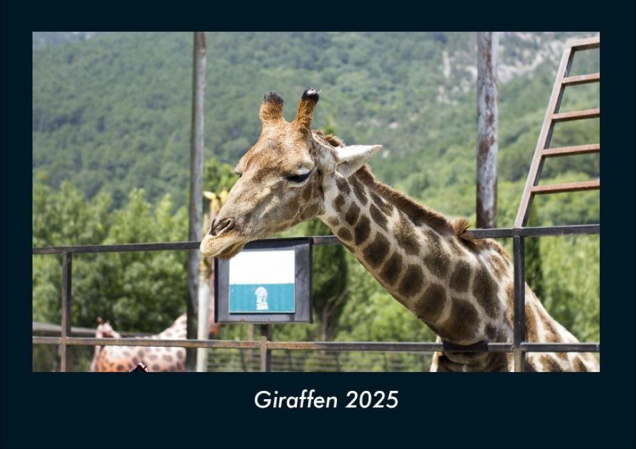 Giraffen 2025 Fotokalender DIN A4 - Tobias Becker