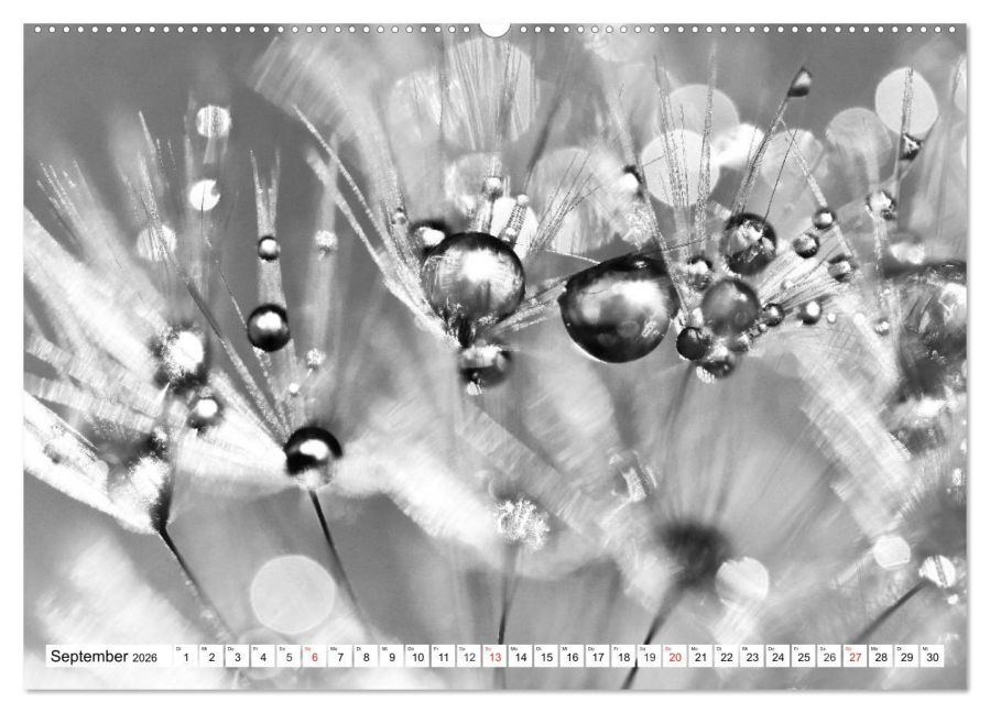 additionalImage13