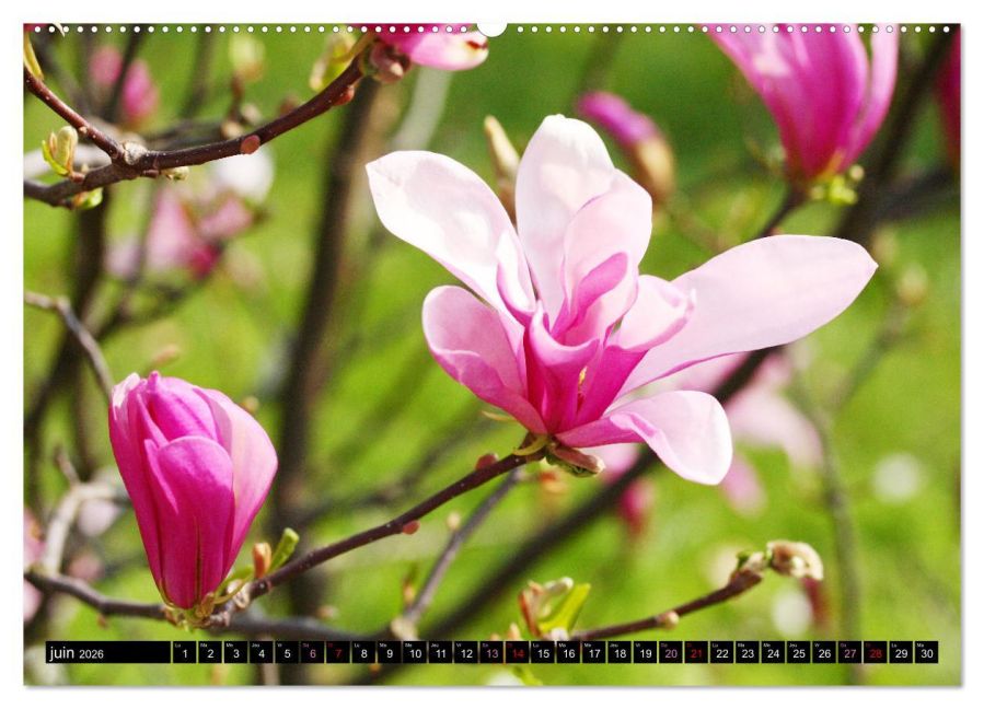 additionalImage10