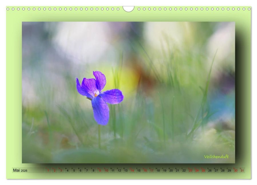 additionalImage10