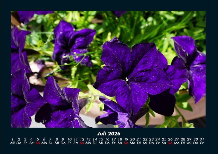 additionalImage11