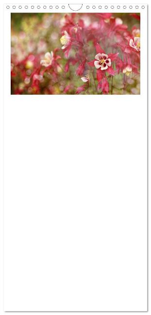 additionalImage12