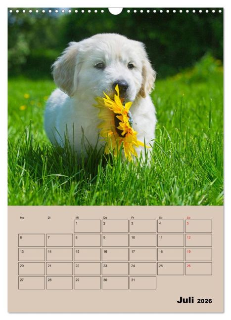 additionalImage12