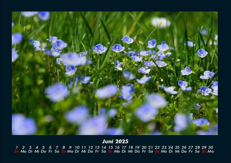 additionalImage10