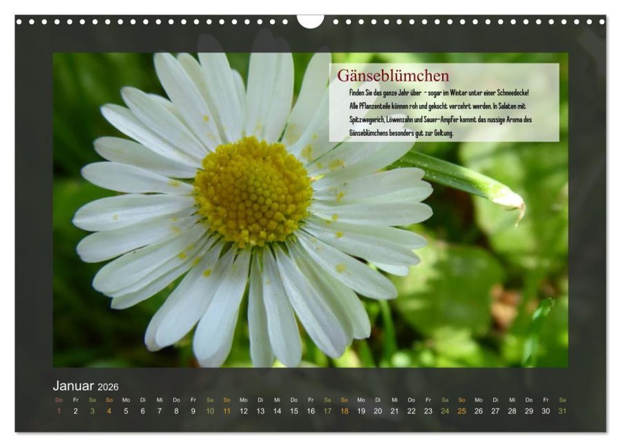 additionalImage6