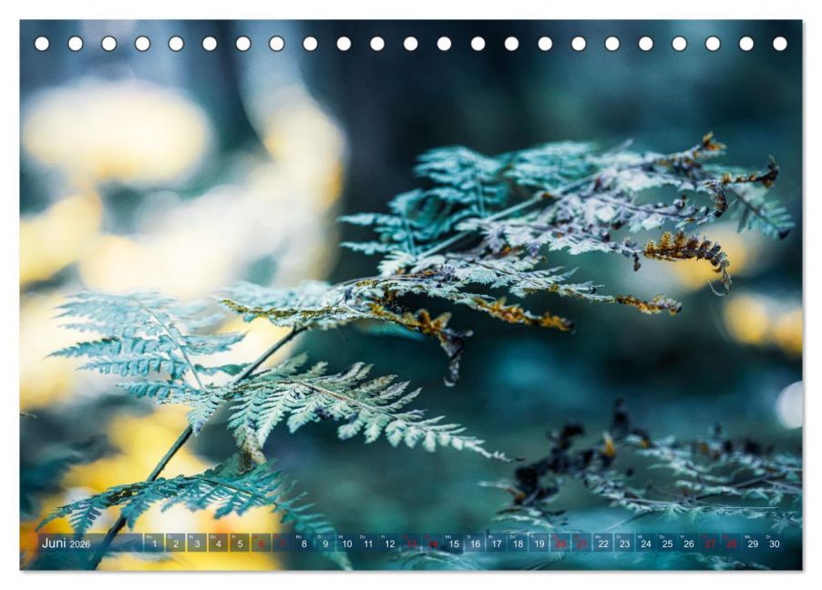 additionalImage11