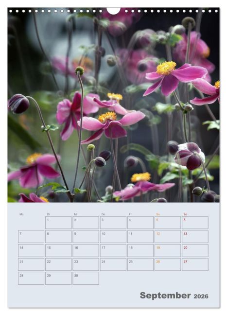 additionalImage14