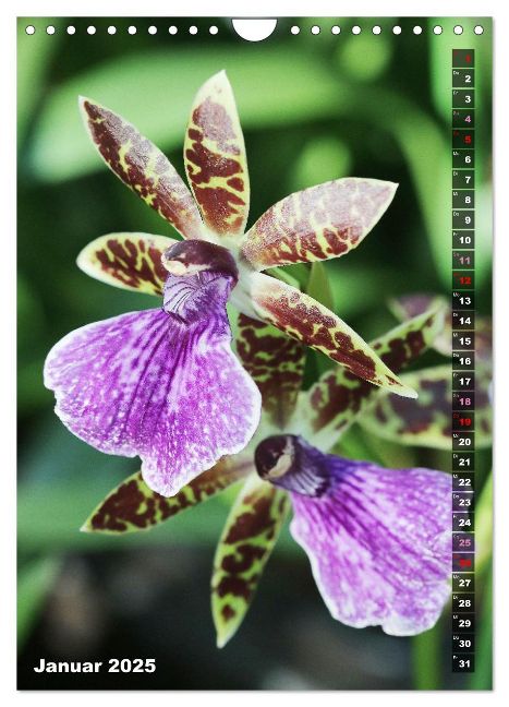 additionalImage6
