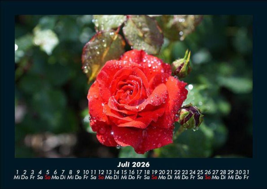 additionalImage11