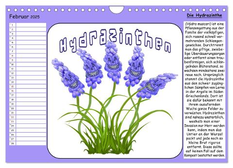 additionalImage4