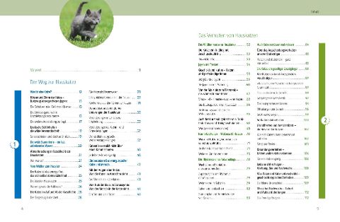 additionalImage1