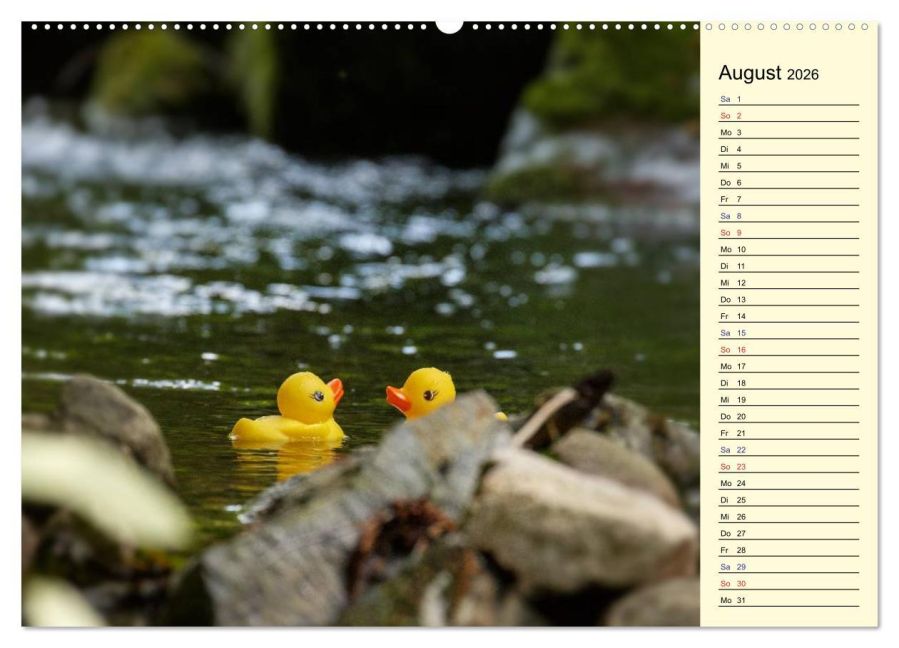 additionalImage12
