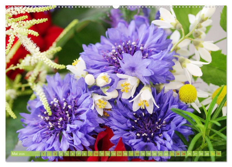 additionalImage10