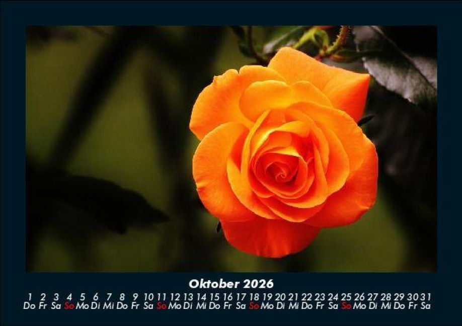 additionalImage2