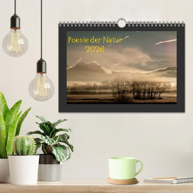 additionalImage1