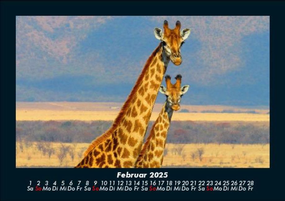 additionalImage6