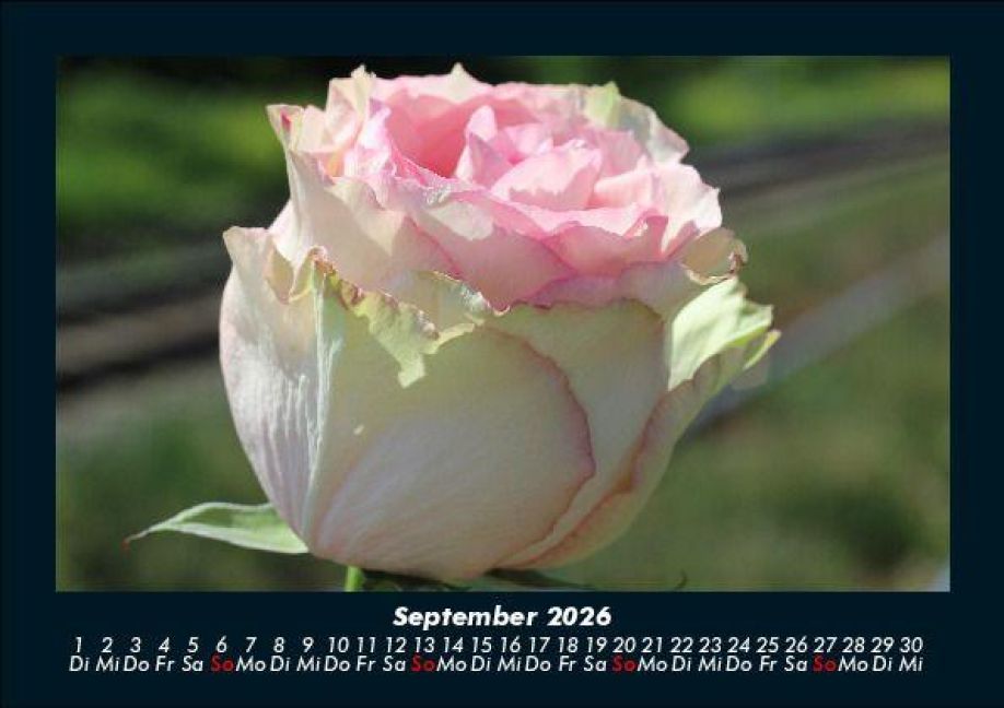 additionalImage1