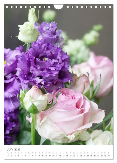 additionalImage11