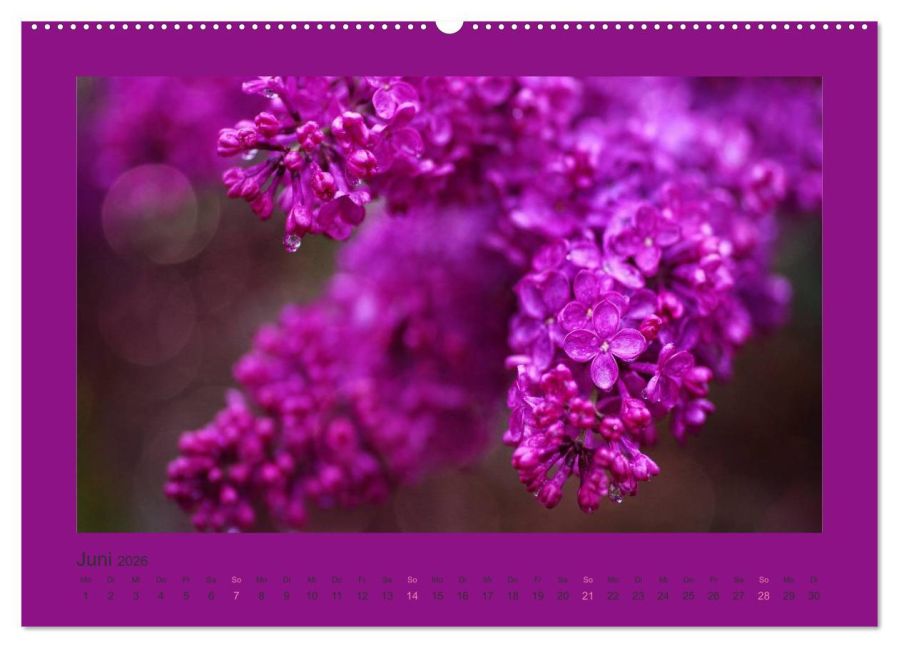 additionalImage10