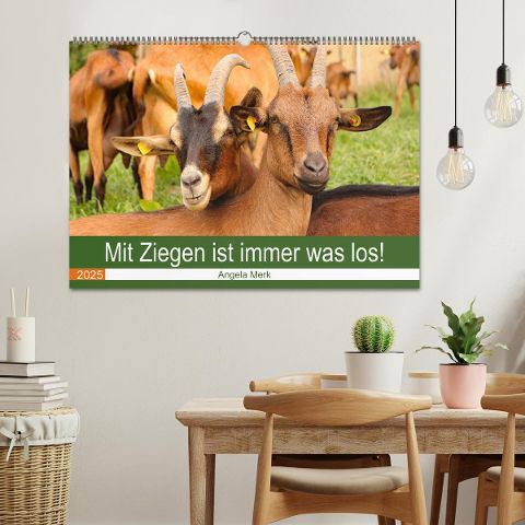 additionalImage1