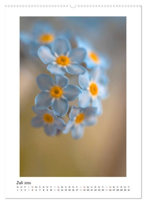additionalImage11