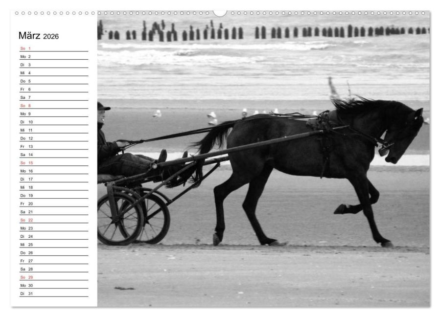 additionalImage8
