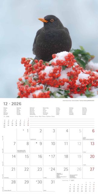 additionalImage13