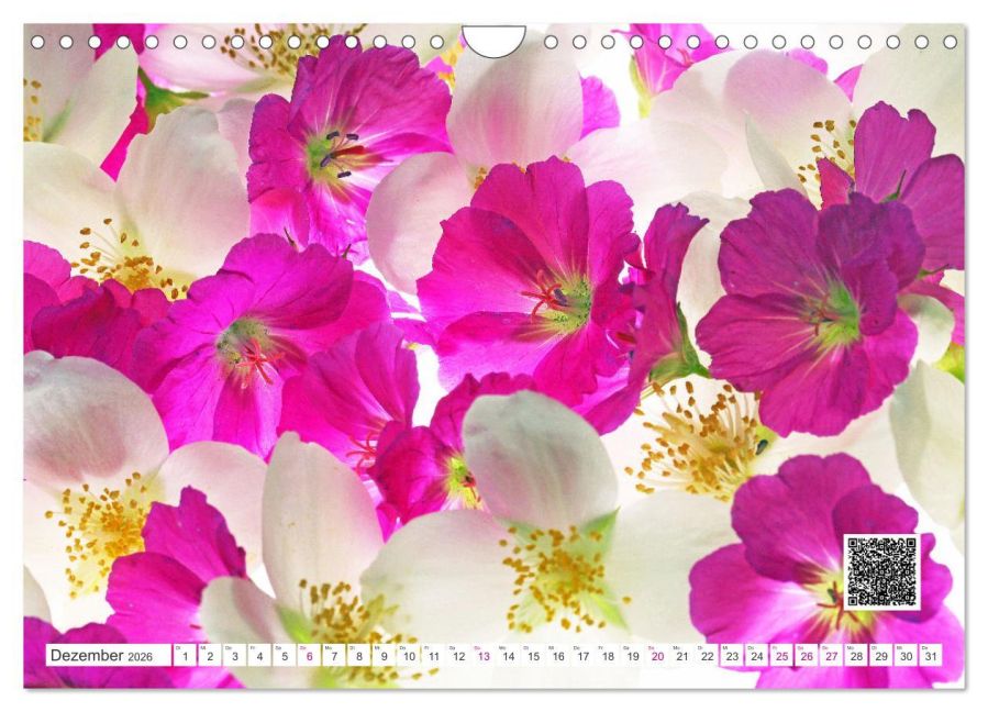 additionalImage4