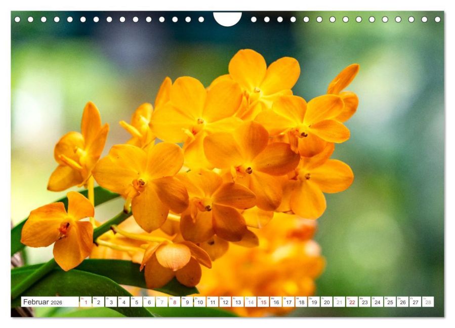 additionalImage7