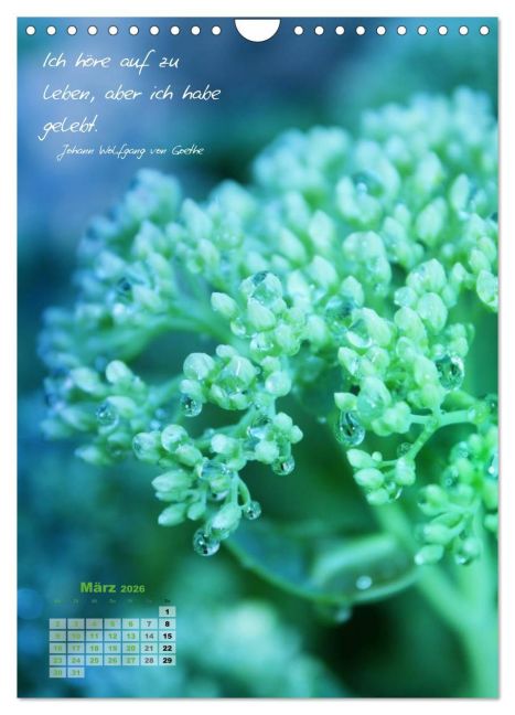 additionalImage8