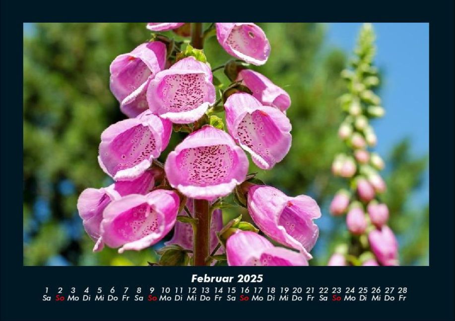 additionalImage6