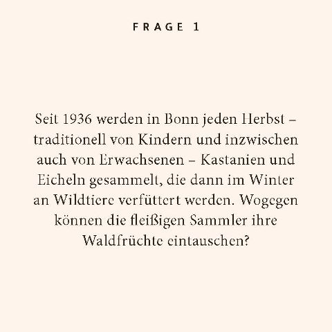 additionalImage1