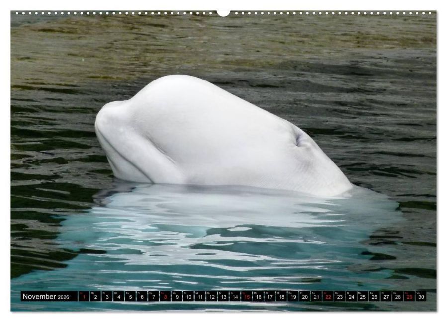 additionalImage3