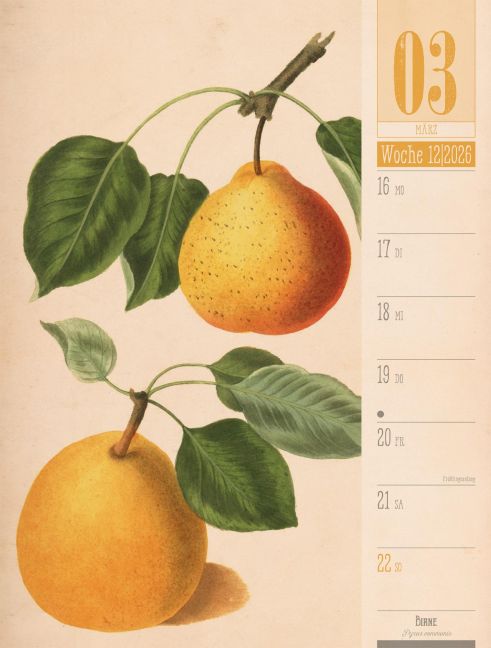 additionalImage15