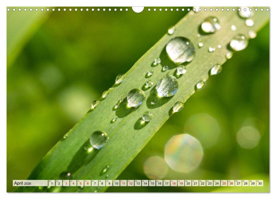 additionalImage9