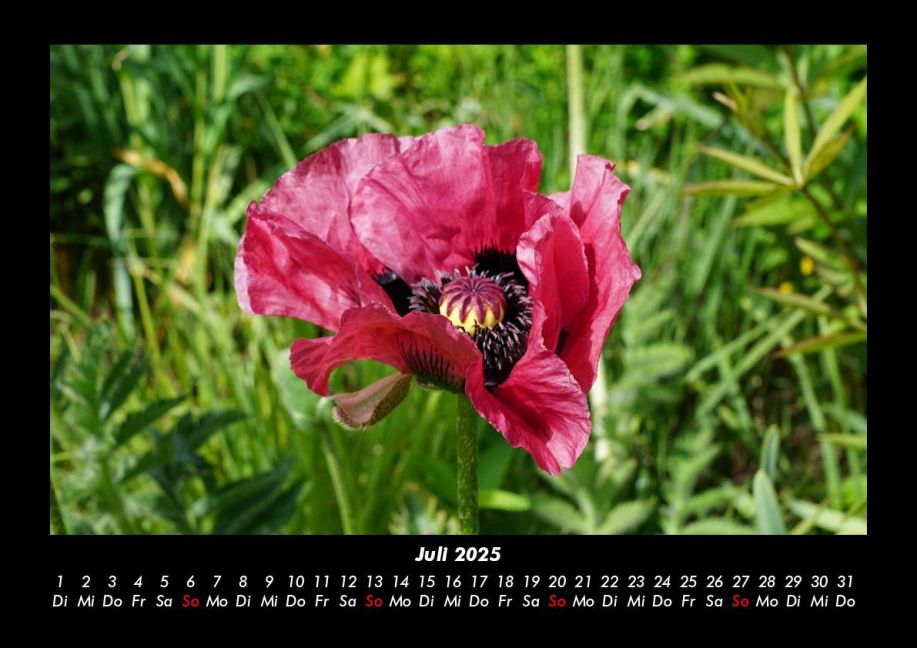 additionalImage11
